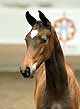 Attachant