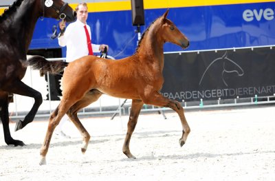 On Demand (v. Ferdinand)