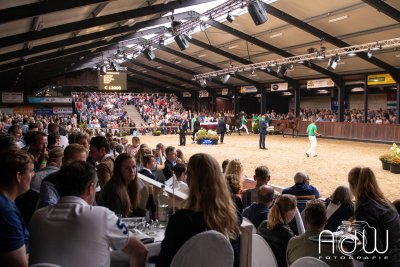 Nieuwe kopers slaan slag voor realistische prijzen op Starsale Auctions